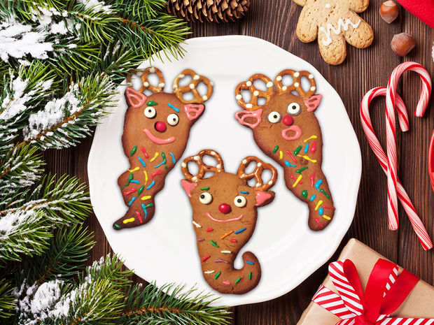 Rare Yool Gingerbread Cookies